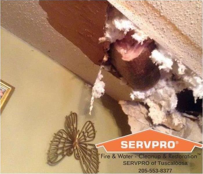 Roof damage in a Tuscaloosa home can easily be repaired with trained SERVPRO professionals.