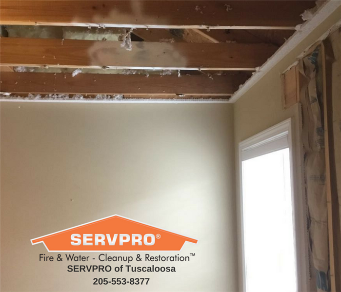 Ceiling mold has been cut out by SERVPRO technicians to be replaced due to microbial growth found in this Tuscaloosa home. 