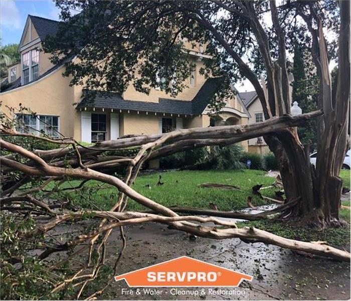 A home in Northport has seen storm damage, especially the fallen tree.